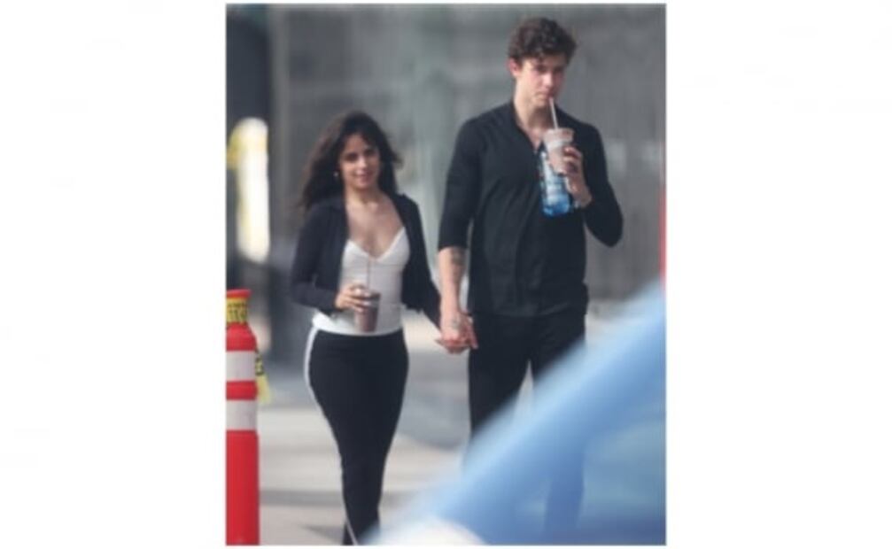 Camila Cabello y Shawn Mendes ya no esconden su amor
