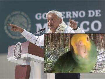AMLO envía mensaje a los americanistas