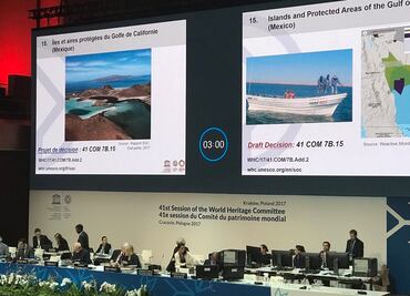 Reconoce UNESCO esfuerzo de México a favor de vaquita