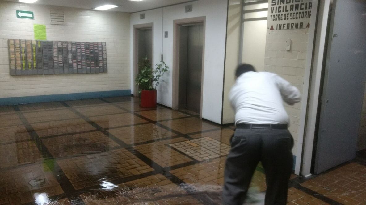 FOTOS: Teresa Moreno