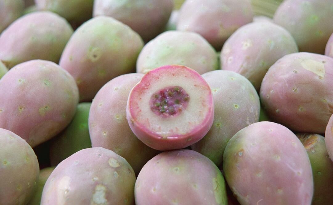 Xoconostle is the fruit produced by cacti - Photo: Bernardo Martínez/EL UNIVERSAL