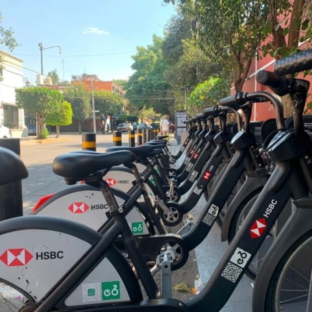 Ecobici CDMX: Registro, costo y todo lo que debes saber para recorrer la ciudad en ruedas