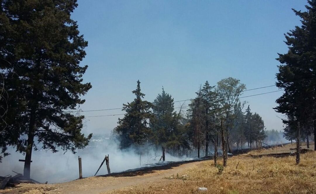 (Foto: Twitter  @SPCCDMX)