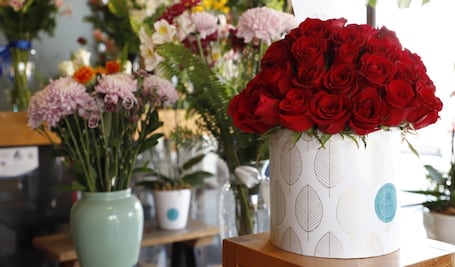 Floricultores mexiquenses esperan derrama económica de 500 millones de pesos para el Día de San Valentín 