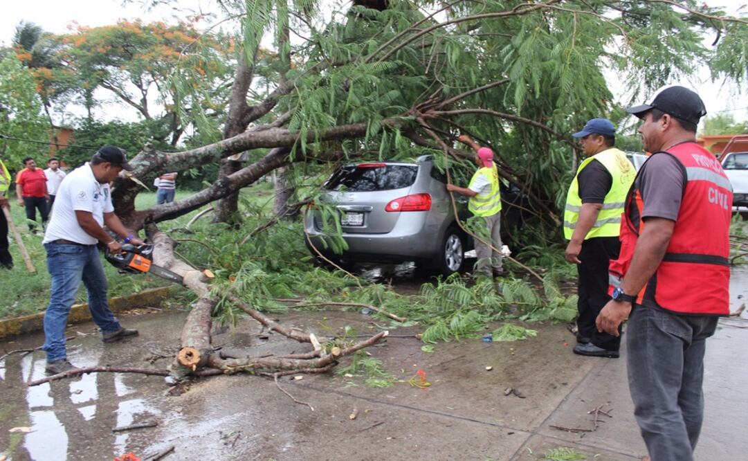 Foto: Luma López / EL UNIVERSAL  