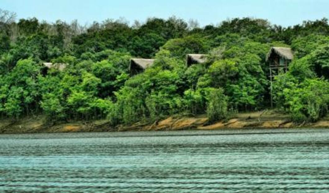 11 cosas que debes saber de la selva amazónica