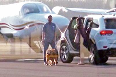 Gobernador de Chihuahua viajó hasta con su perro