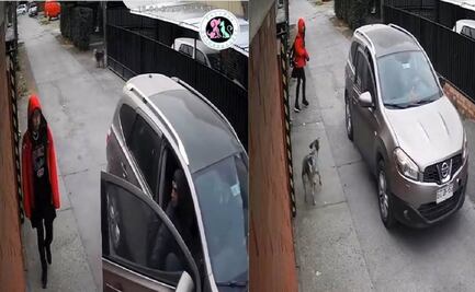 ¡Héroe de cuatro patas! Perrito salva a una niña de ser secuestrada en Chile