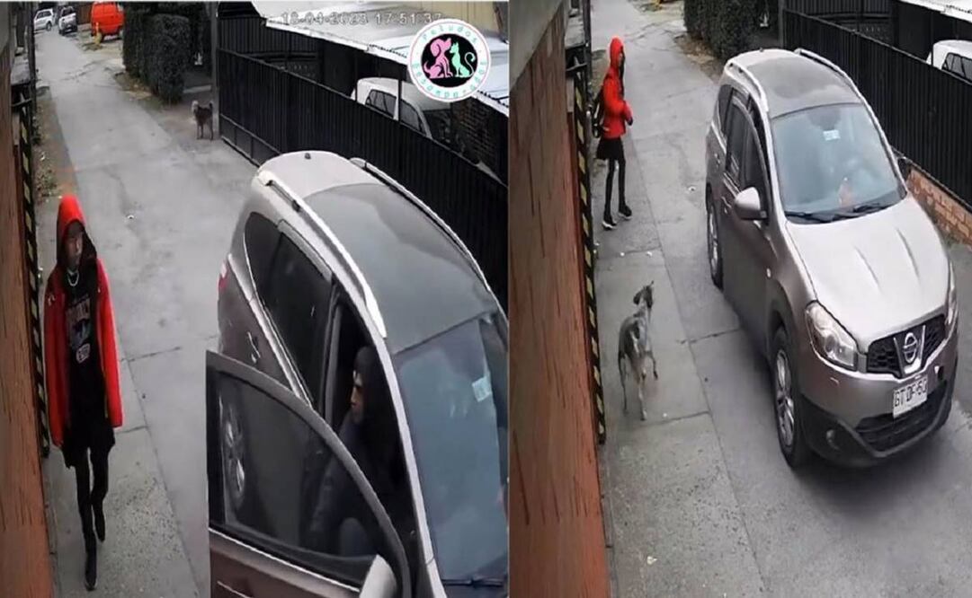 En el video se aprecia cómo el perro se lanza contra los secuestradores para proteger a la niña. Foto: Captura