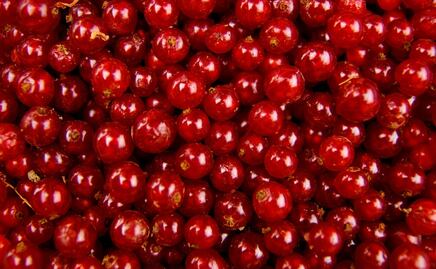 ¿De dónde viene el dulce sabor Grosella de los raspados?