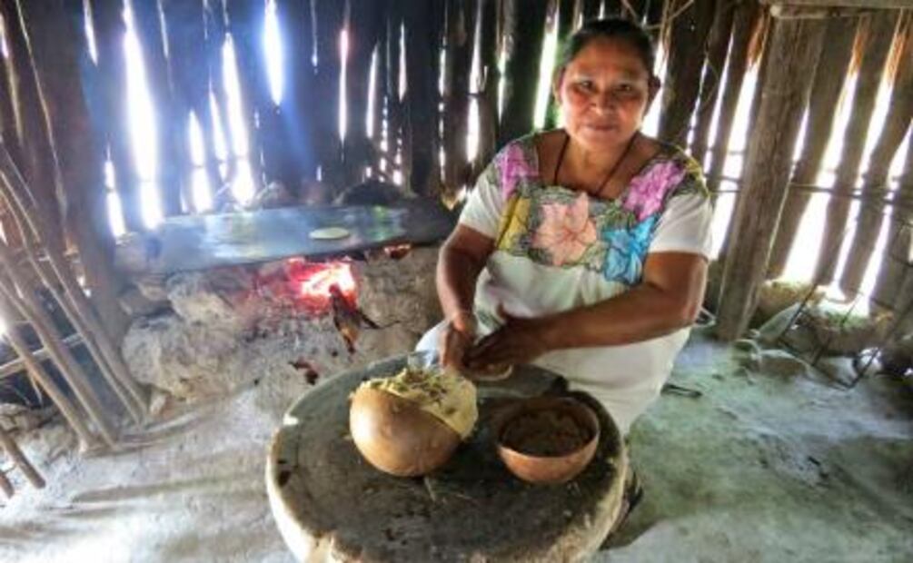 En Riviera Maya hay una abeja que no pica y su miel te rejuvenece
