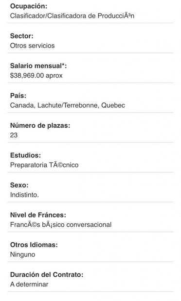 Canadá tiene ofertas laborales para mexicanos sin hablar inglés