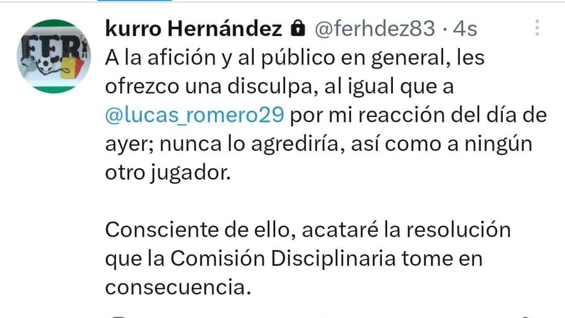 Las disculpas del árbitro Hernández