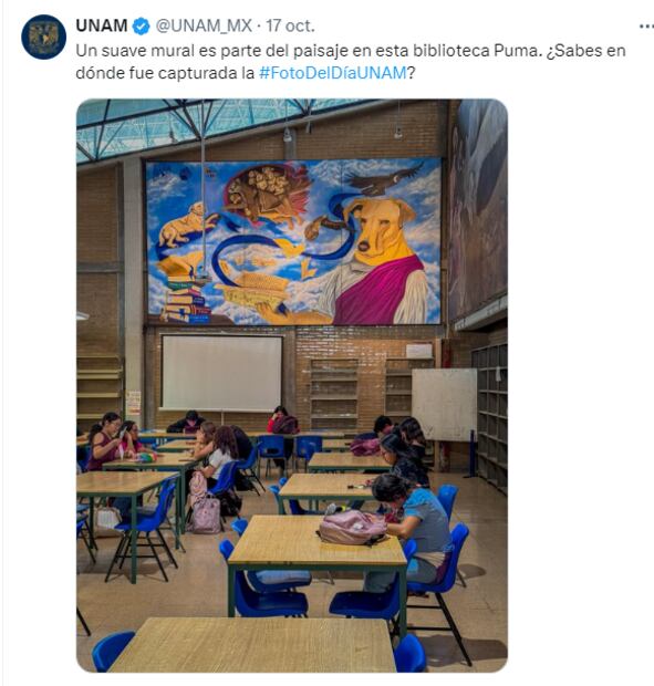 El tierno amigo que observa a los alumnos de CCCH Naucalpan  mientras estudian en la biblioteca, es conocido como “Mario Lenguas de Mileto”. Foto: 'X' @unam_mx