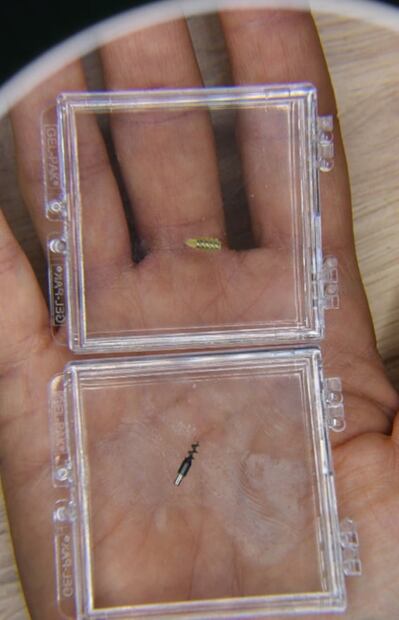 Insertan microrobots en el cráneo para curar enfermedades cerebrales