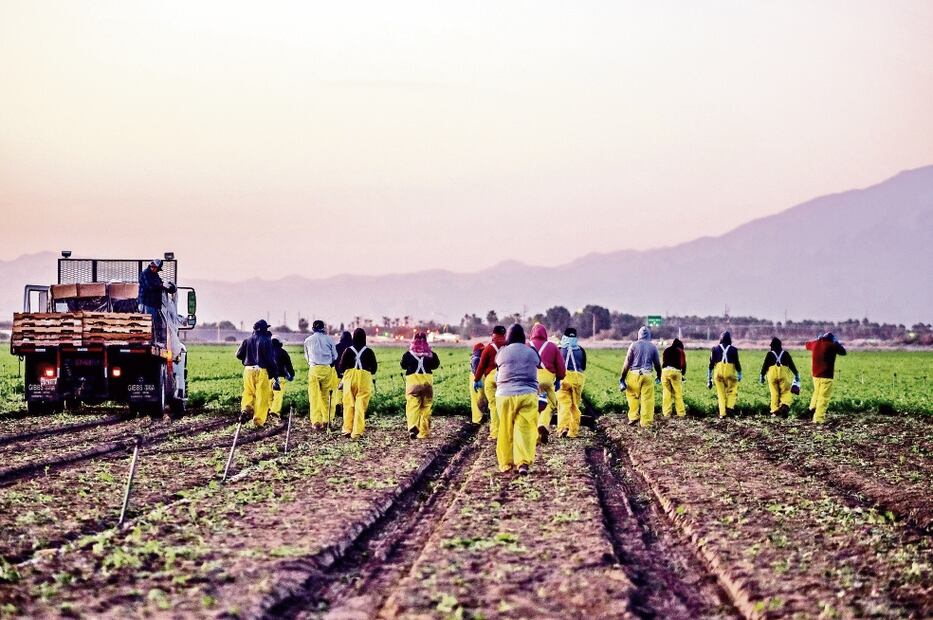 Matt Teagarden, de la Asociación de Ganaderos de Kansas, dijo que la mano de obra inmigrante es esencial para su sector y la agricultura en general. Foto: Archivo/El Universal