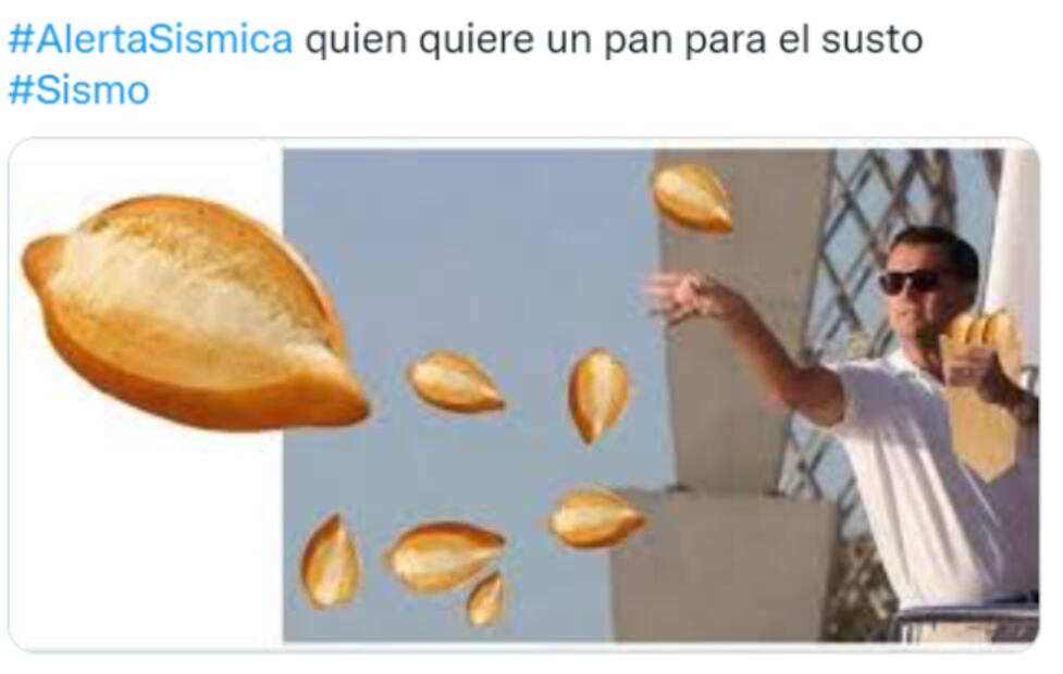 El golpe de Lady Gaga, el sismo en la madrugada y el aterrizaje de “Pochi” en lo mejor de los memes de la semana