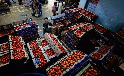 Por aranceles de EU, exportadores de jitomate estiman impacto de 8 mil mdd anuales; envíos a otros países caería hasta 15%