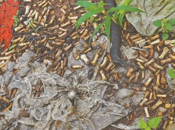 2,000 bone fragments found in Sinaloa