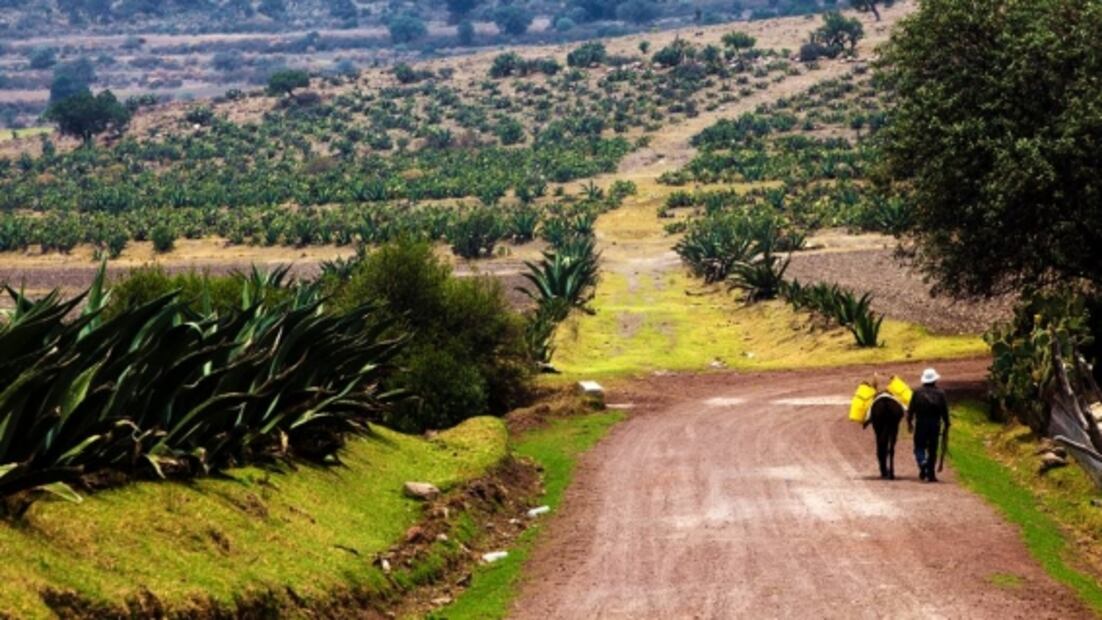Conoce un nuevo glamping cerca del Santuario de las Luciérnagas