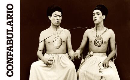 Confabulario; Historias del orgullo: testimonios latinoamericanos