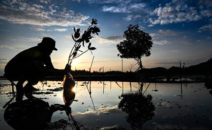 Día de la Tierra: Los últimos 7 años han sido los más calientes, según el informe de Copernicus