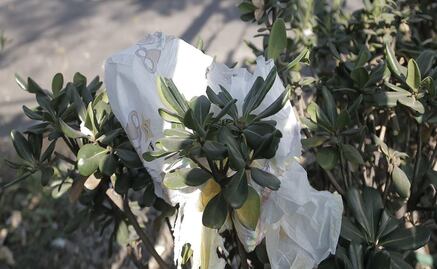 PRI acusa omisión de autoridades capitalinas tras #pañalazo