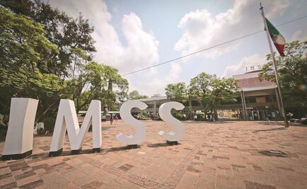 Mañana inicia programa piloto para afiliar a trabajadoras del hogar al IMSS