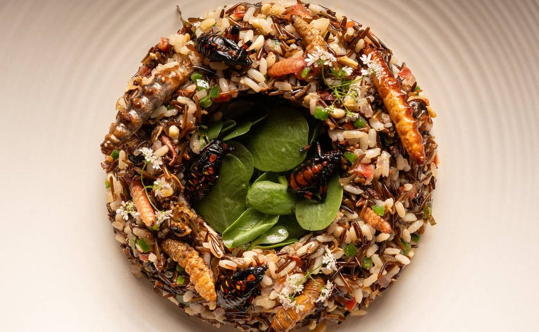 Festival de Bichos en Los Danzantes. Foto: Cortesía