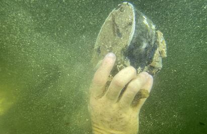 Buzos extraen 27 medidores de CFE del fondo de un cenote en Yucatán; piden investigar