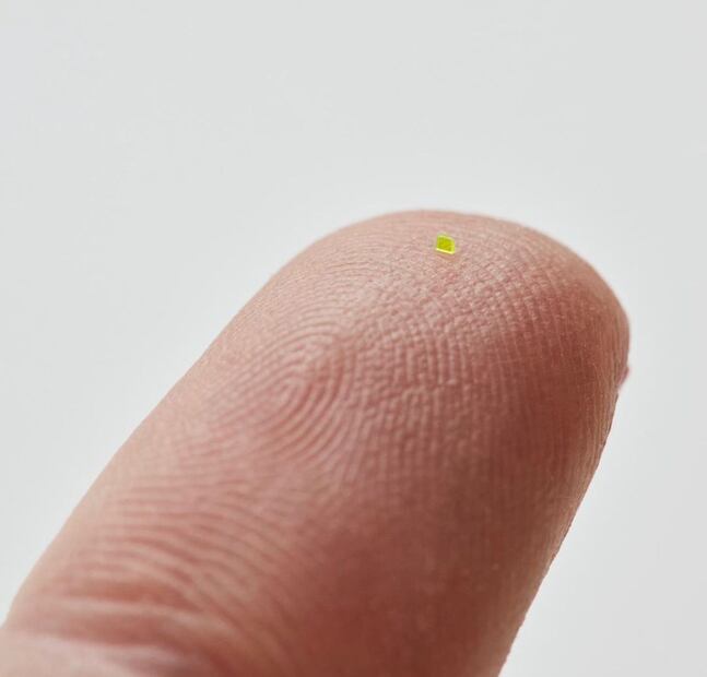 Foto: Instagram @mschf