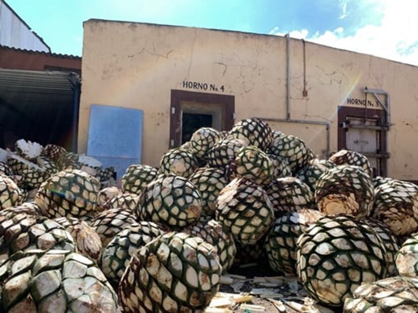 ¿Qué tequila elegir para este 15 de septiembre? Los expertos nos explican