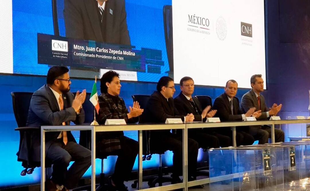 Shell gana mayoría de bloques licitados en aguas profundas