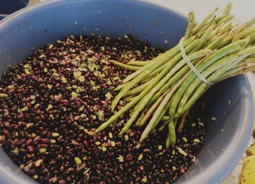 Prepara esta ensalada con requesón de almendra y frijoles mayas
