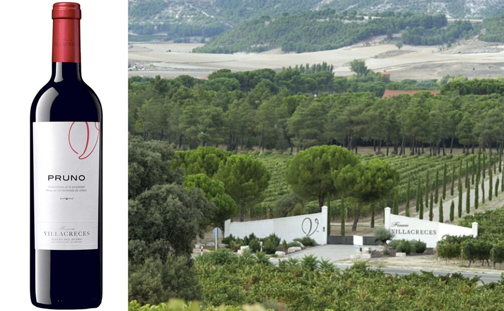 Conoce Ribera del Duero a través de sus vinos. Foto: Especial, Finca Villacreces