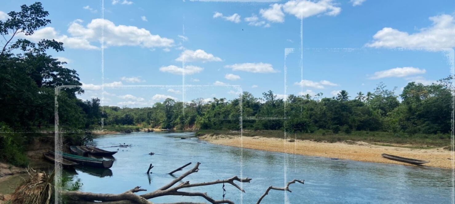 Traficantes de cocaína llevan a cabo apropiaciones de tierras, destruyen los bosques y expulsan o trafican a la vida silvestre en la Moskitia de Honduras. Foto: Bryan Avelar, Juan José Martínez / InSight Crime.