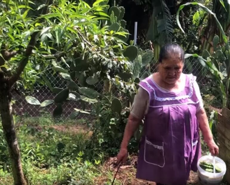 “De mi rancho a tu cocina”, el nuevo canal de YouTube
