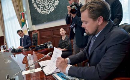 ¿En qué consiste el memorándum para salvar a la vaquita marina?