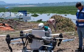 Conagua aplica agentes biológicos especializados para sanear Presa Endhó en Hidalgo; implementa acciones de control sanitario
