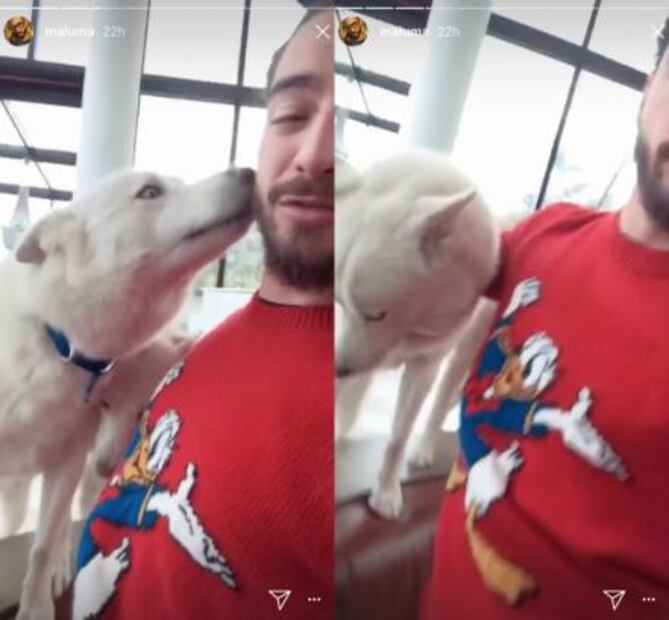 ¿Cuánto cuesta el suéter del Pato Donald de Maluma?