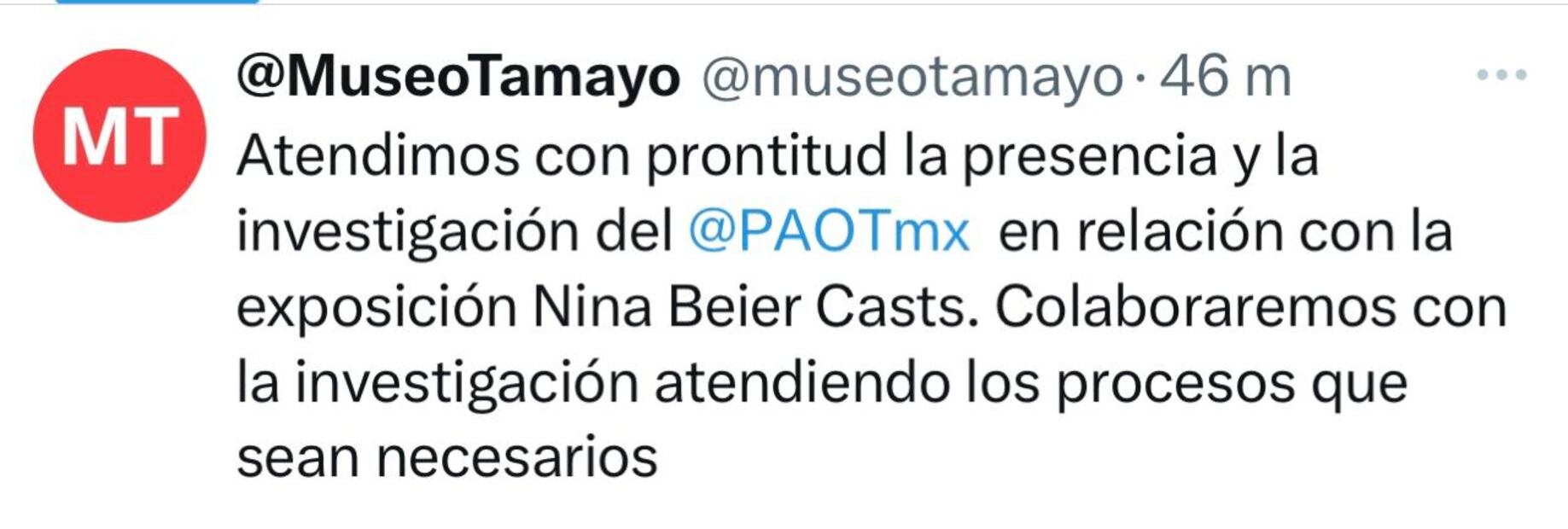 Publicación Museo Tamayo. Foto: Captura de pantalla