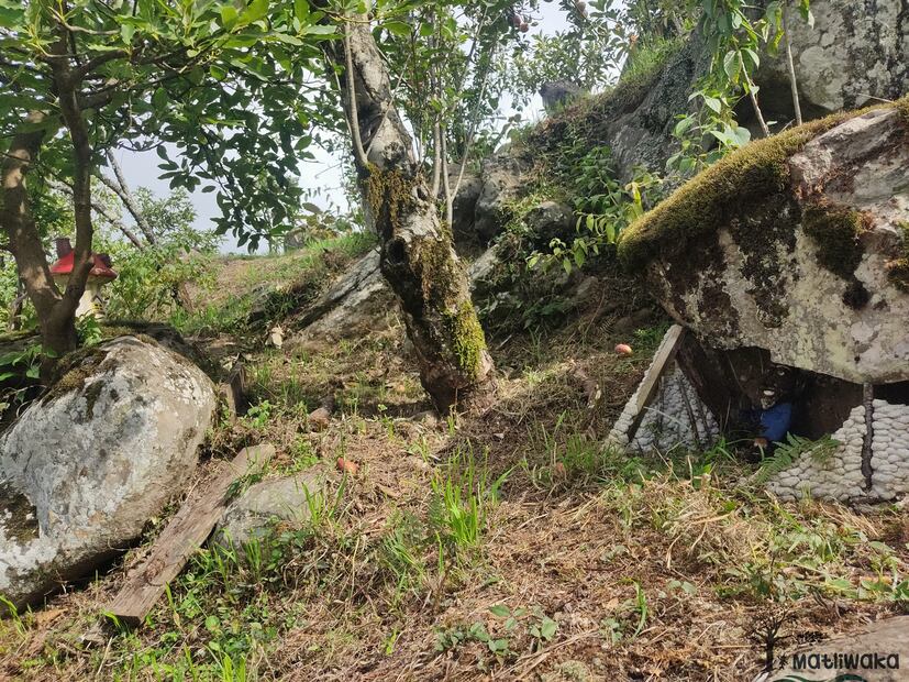 Foto: Matliwaka