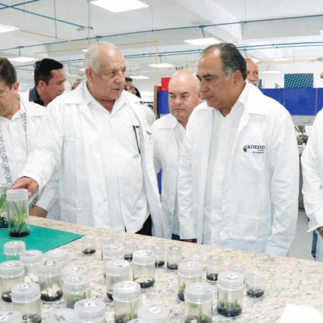 El gobernador Héctor Astudillo dijo que con el centro abierto por el Conacyt en la entidad se beneficiarán también los estados de Michoacán, Chiapas y Oaxaca . 