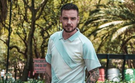 ¿One Direction se reunirá en gira? Liam Payne responde