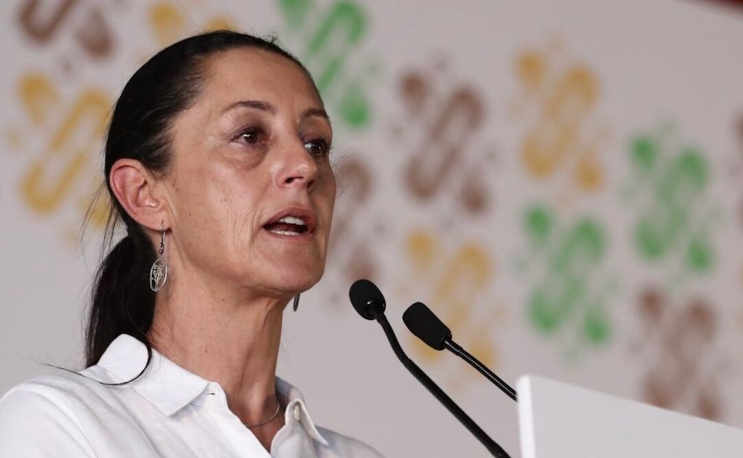 Foto: Diego Simón Sánchez / EL UNIVERSAL