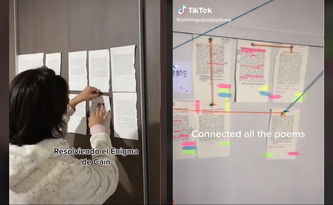 Imagen: TikTok @nataliabravoz / @solvingcainsjawbone