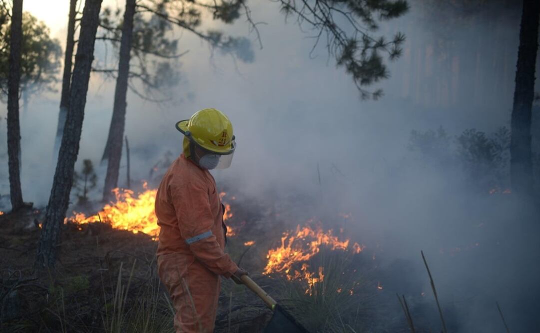El brigadista combatía un incendio forestal en la zona montañosa central de Veracruz; murió por problemas respiratorios. Foto: EFE