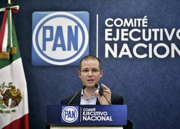 Pide PAN a PGR actuar contra 'chapodiputada'