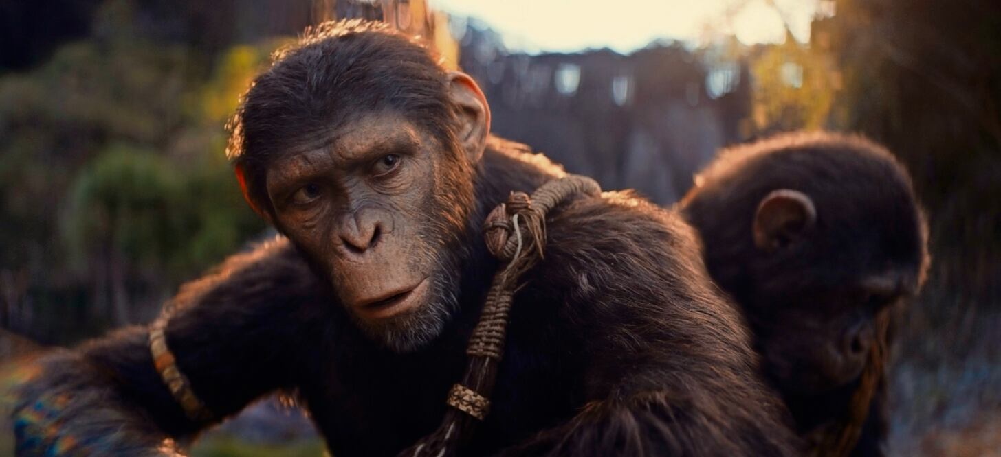 La historia se centra en el personaje de Noa, un joven primate que es interpretado por Owen Teague. Foto:20th Century Studios