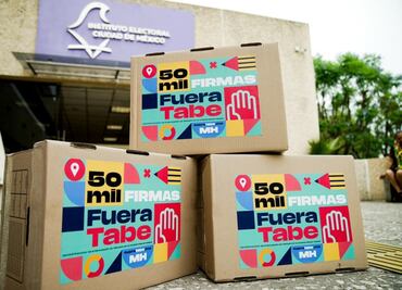 IECM recibe tres solicitudes para revocar a alcaldes de Xochimilco y de la Miguel Hidalgo